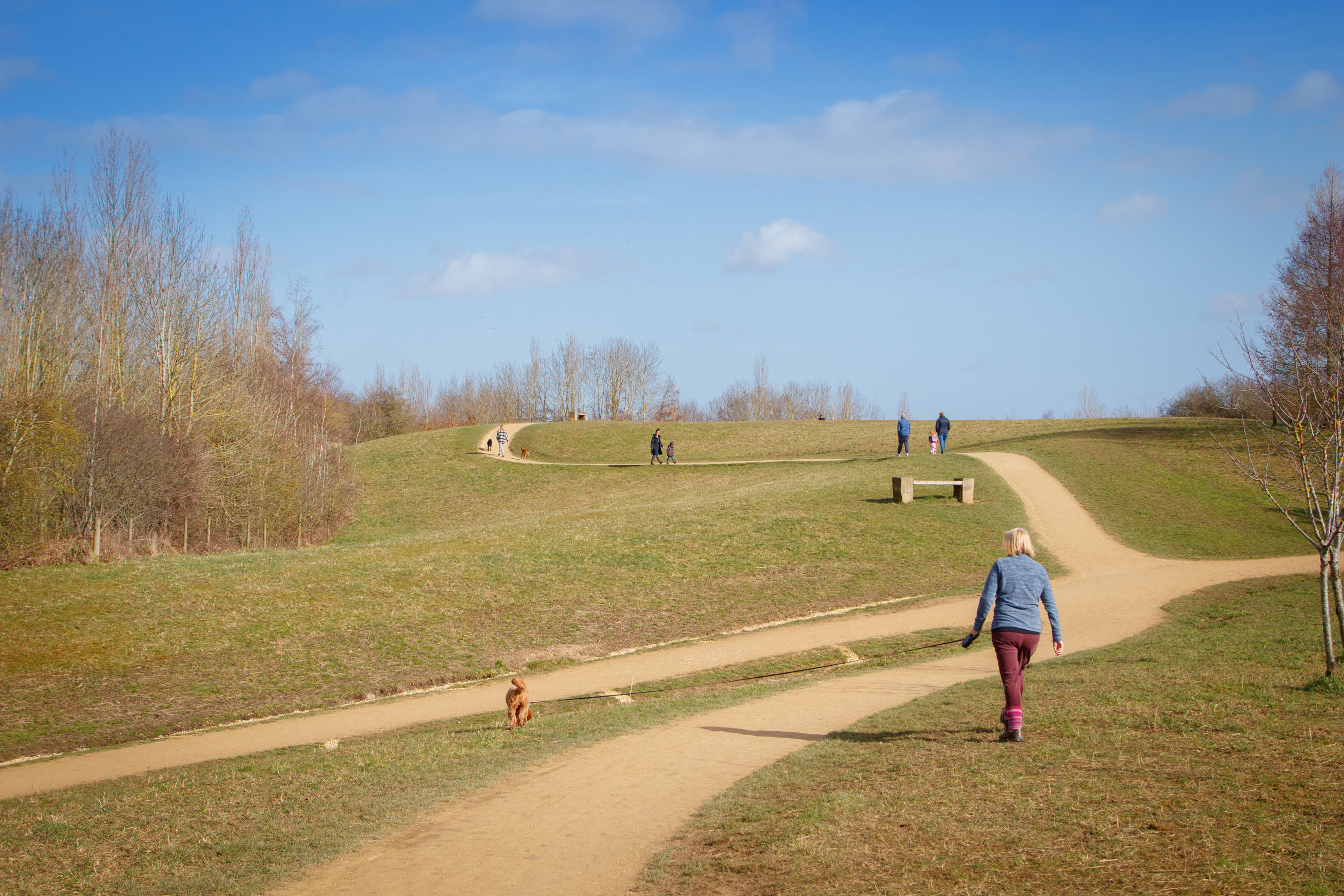 The Orchard at West Park local area