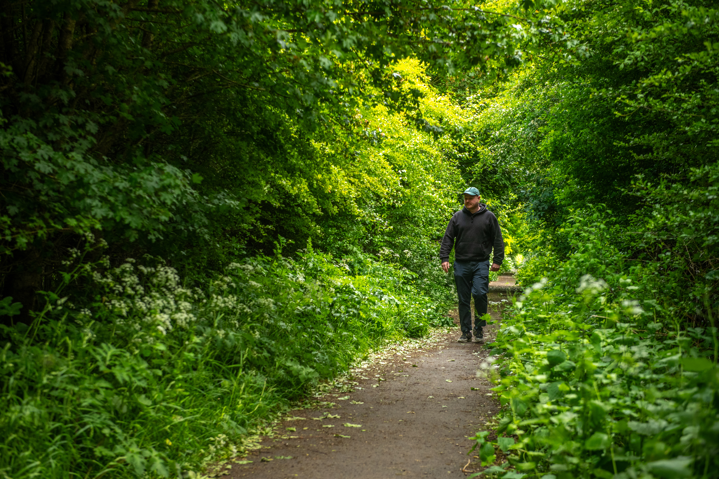 Woodland walks near The Oval, Durham