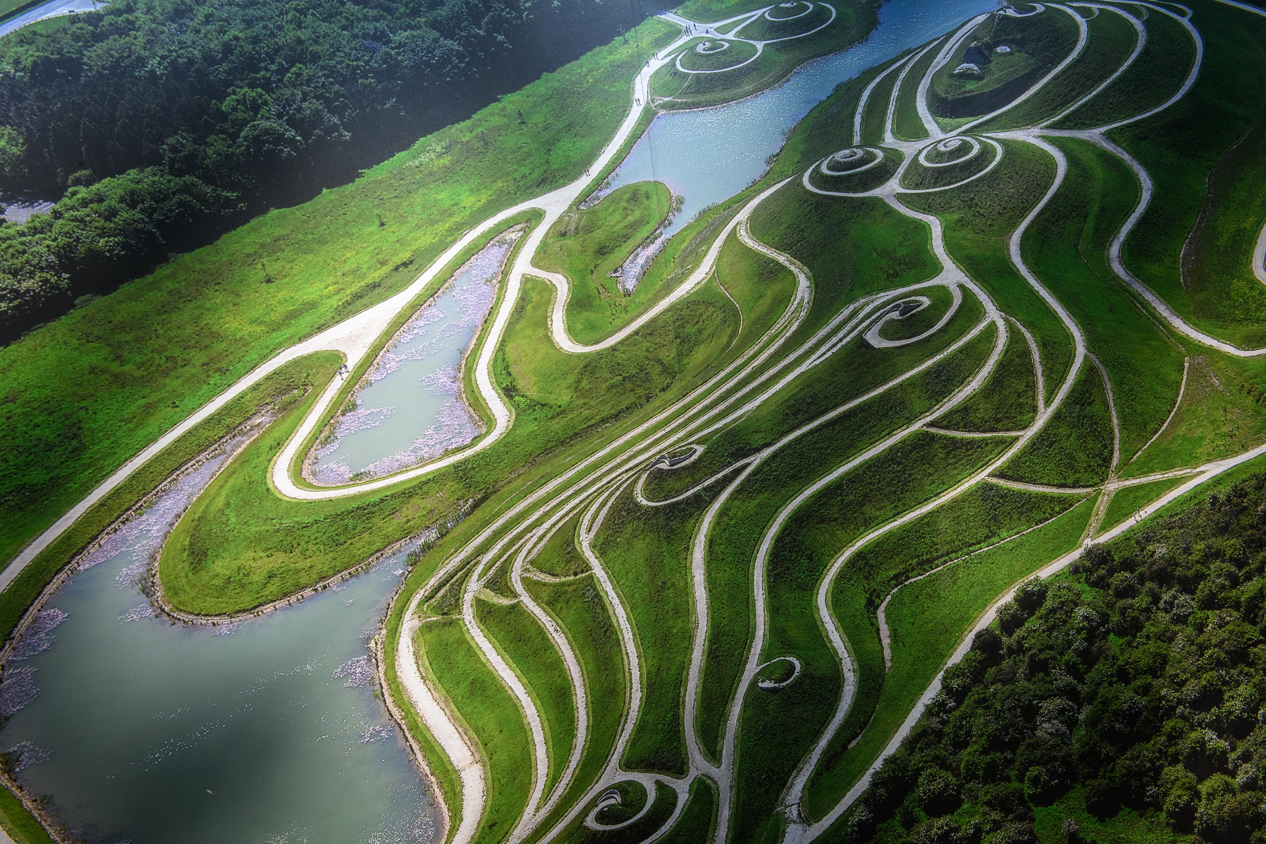 Northumberlandia local area