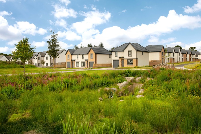 The Woodlands Collection