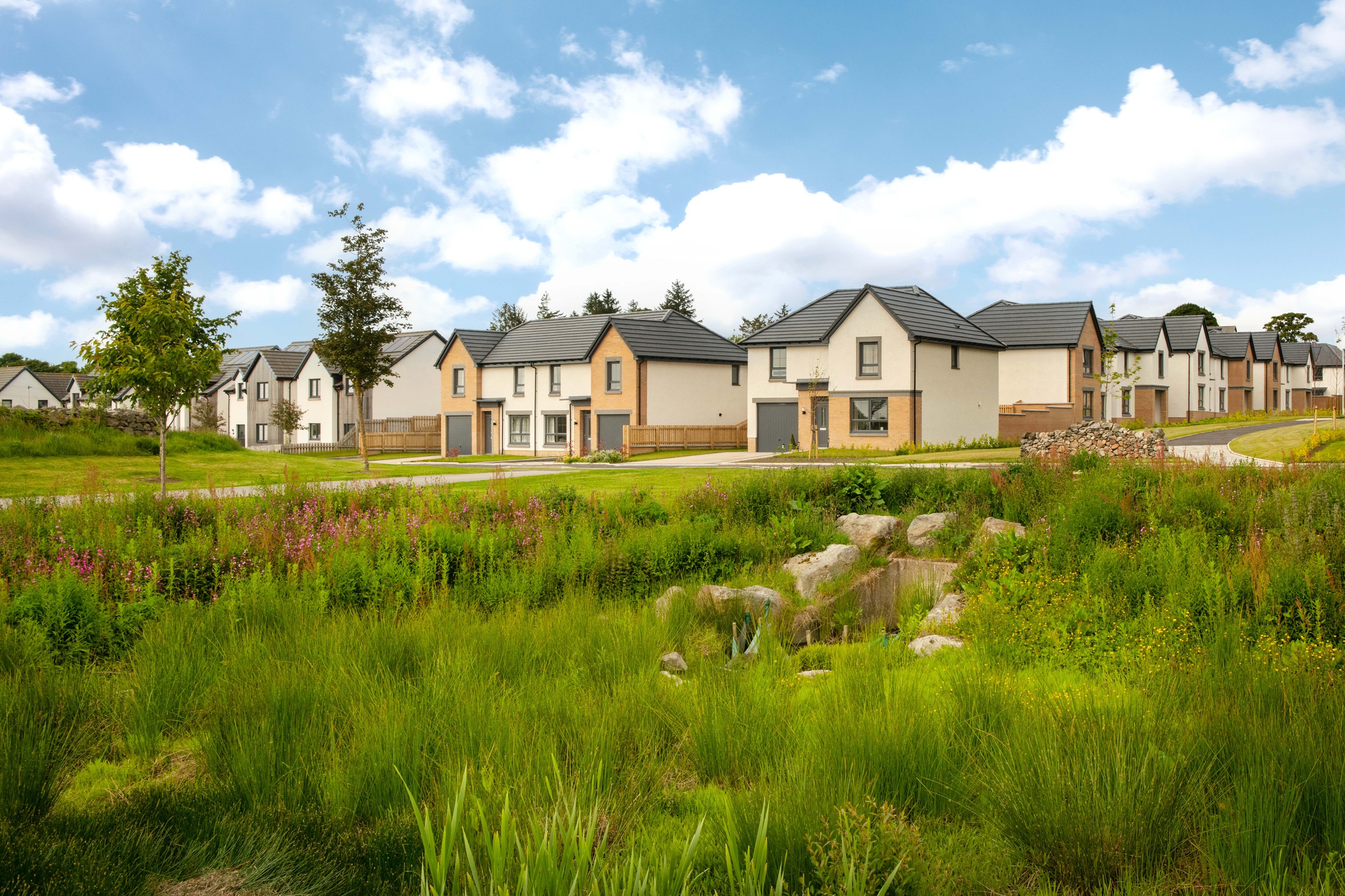 DWH Countesswells_DEV002497_09.07.25_Image 003