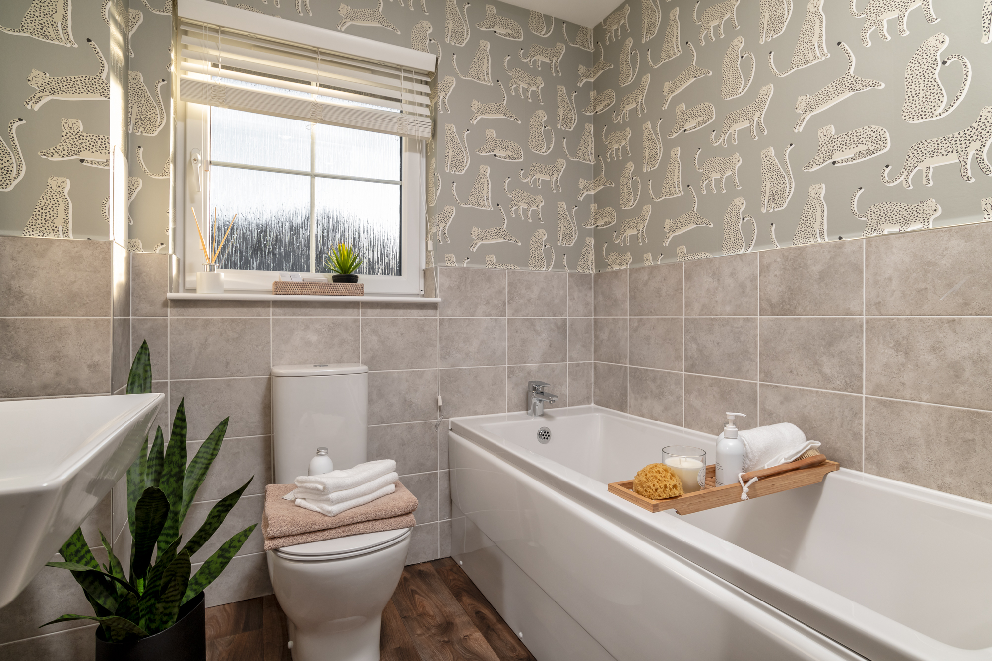 DEV002497_Dalmally_H411_21