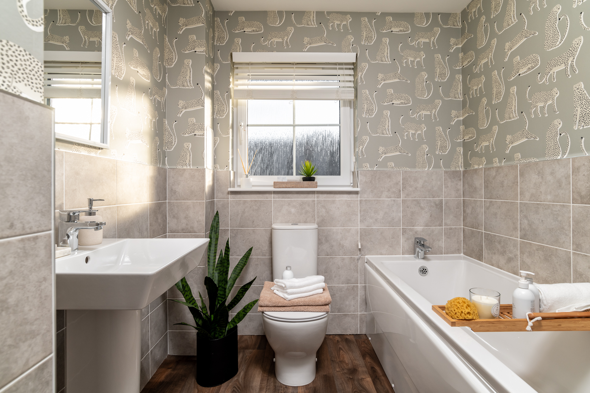 DEV002497_Dalmally_H411_22