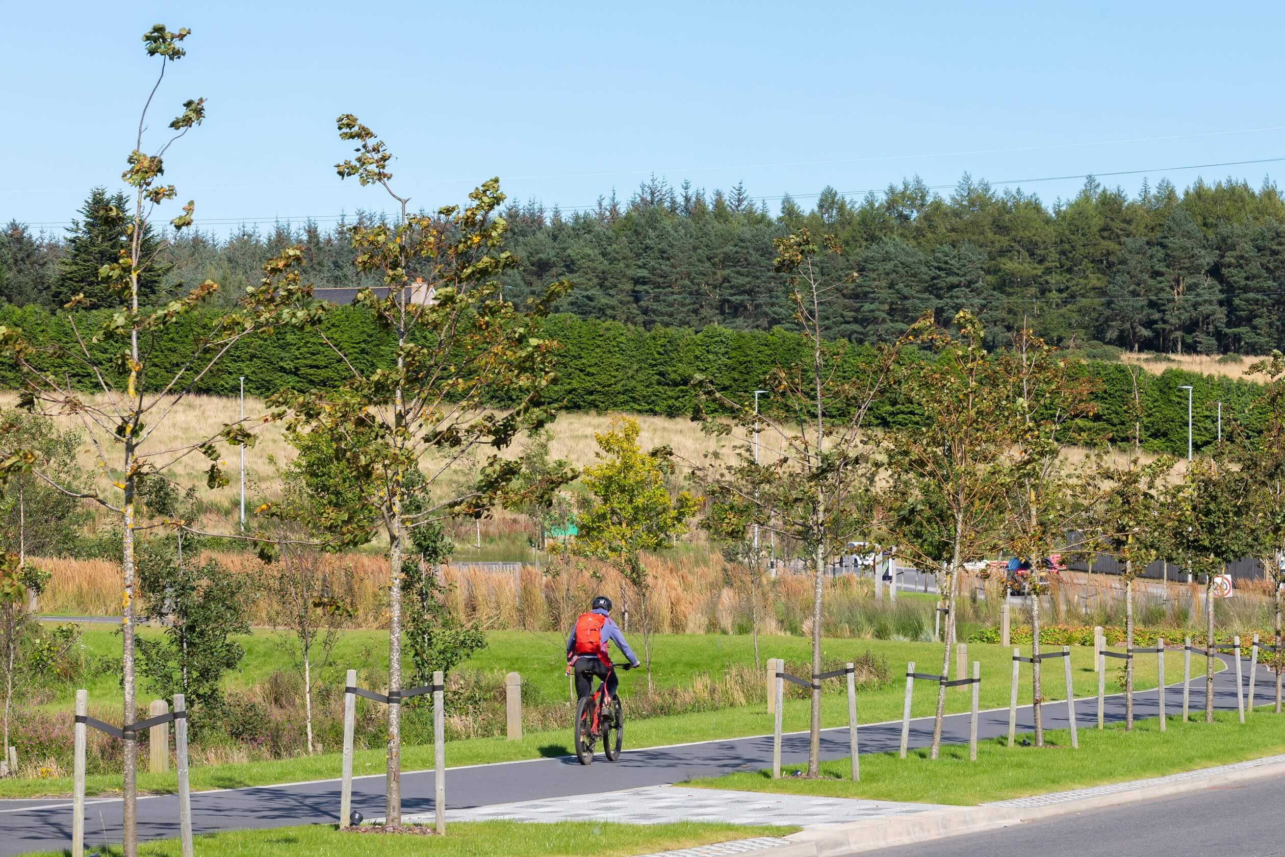 Local-Area cyclist surrounded by open green space and forest