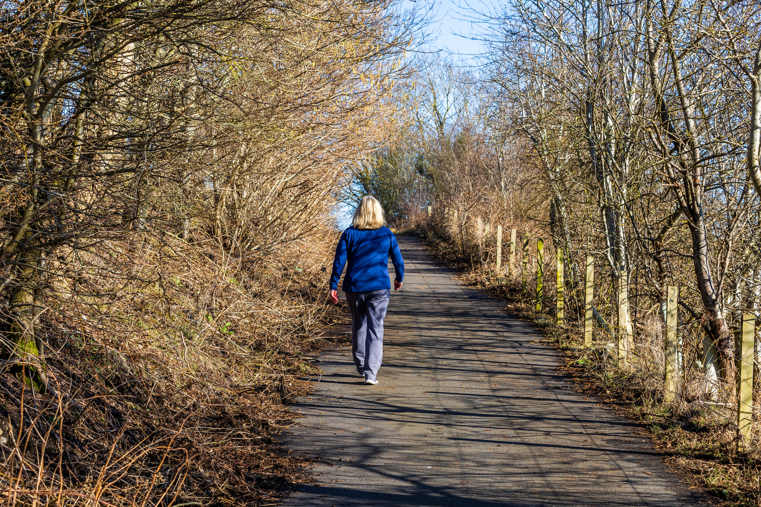  DEV002680_DWH Cordyce_2024_Local Area 019