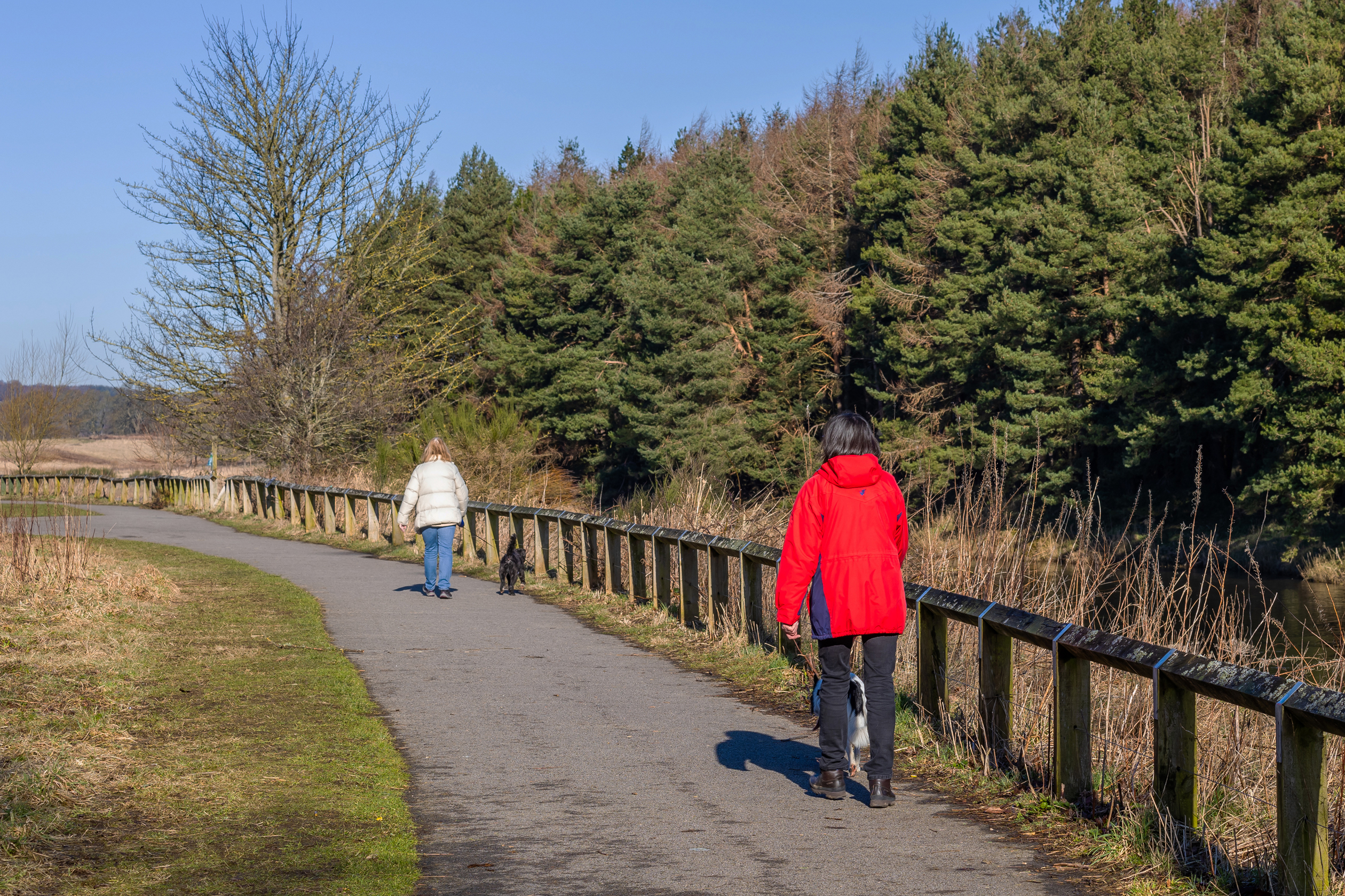  DEV002680_DWH Cordyce_2024_Local Area 021