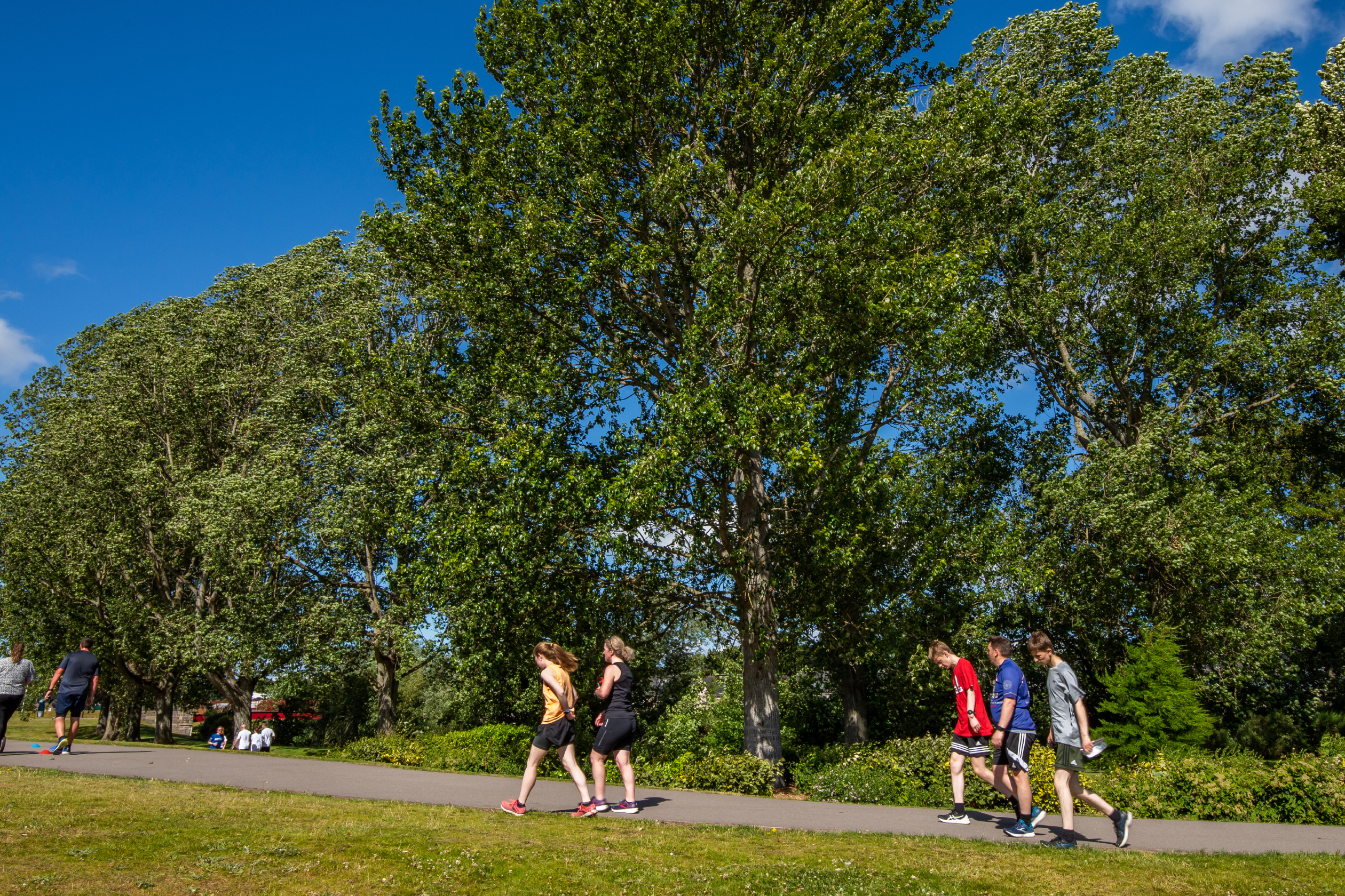 Local area green open space with trees and path and walkers