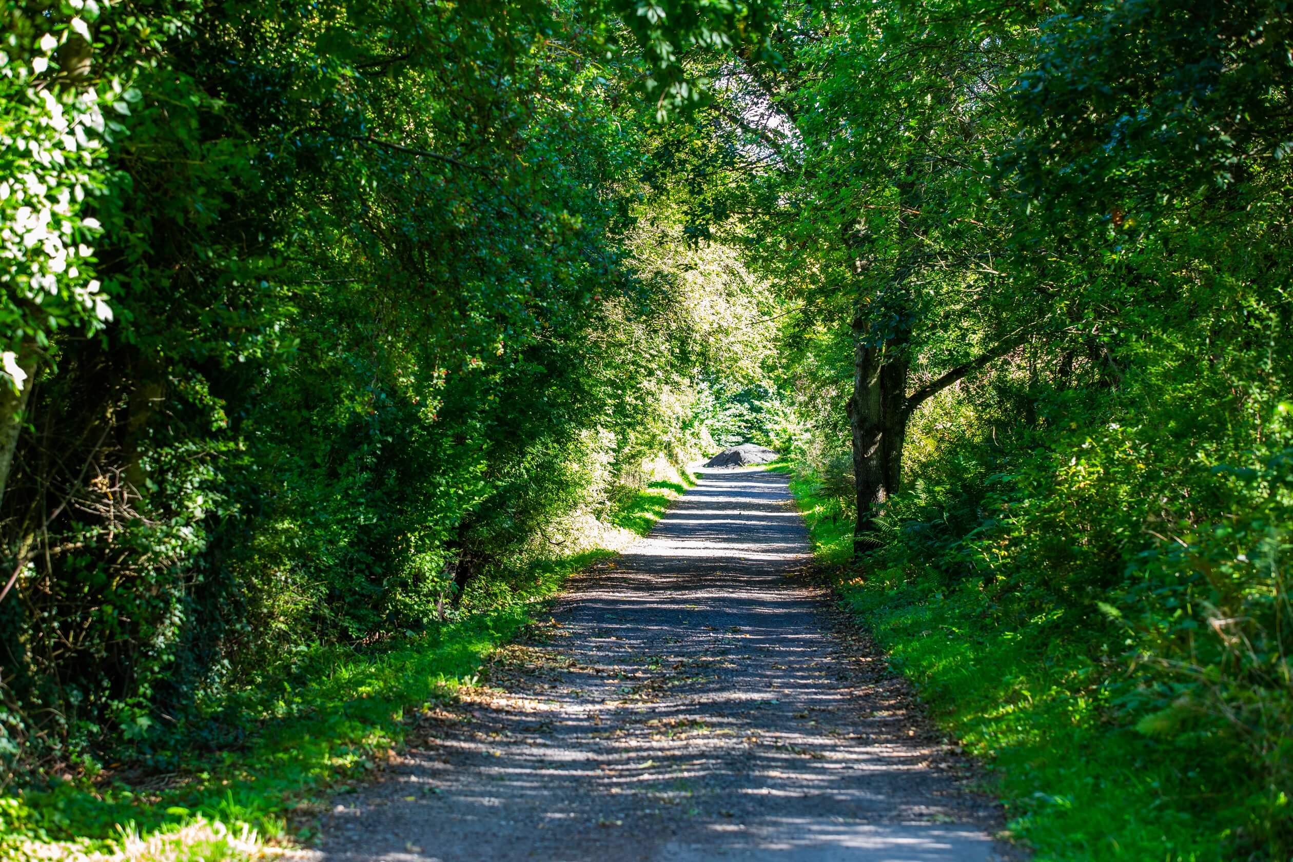 DEV001785_Huntingtower_Local area_004