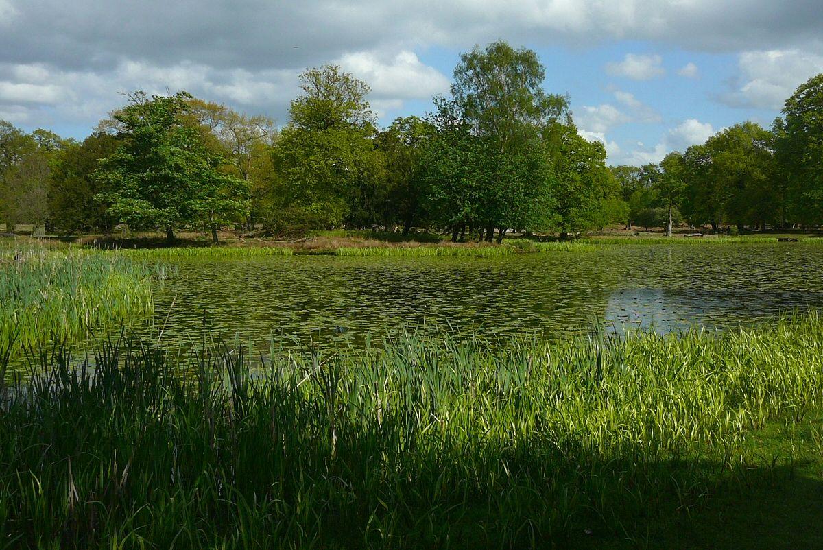 Ascot Gardens New homes in Upton Rocks, Cheshire David Wilson Homes