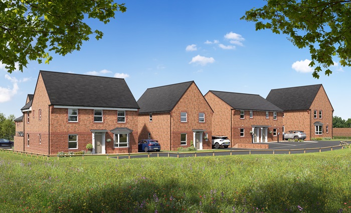 David Wilson Homes at Alderbrook Manor