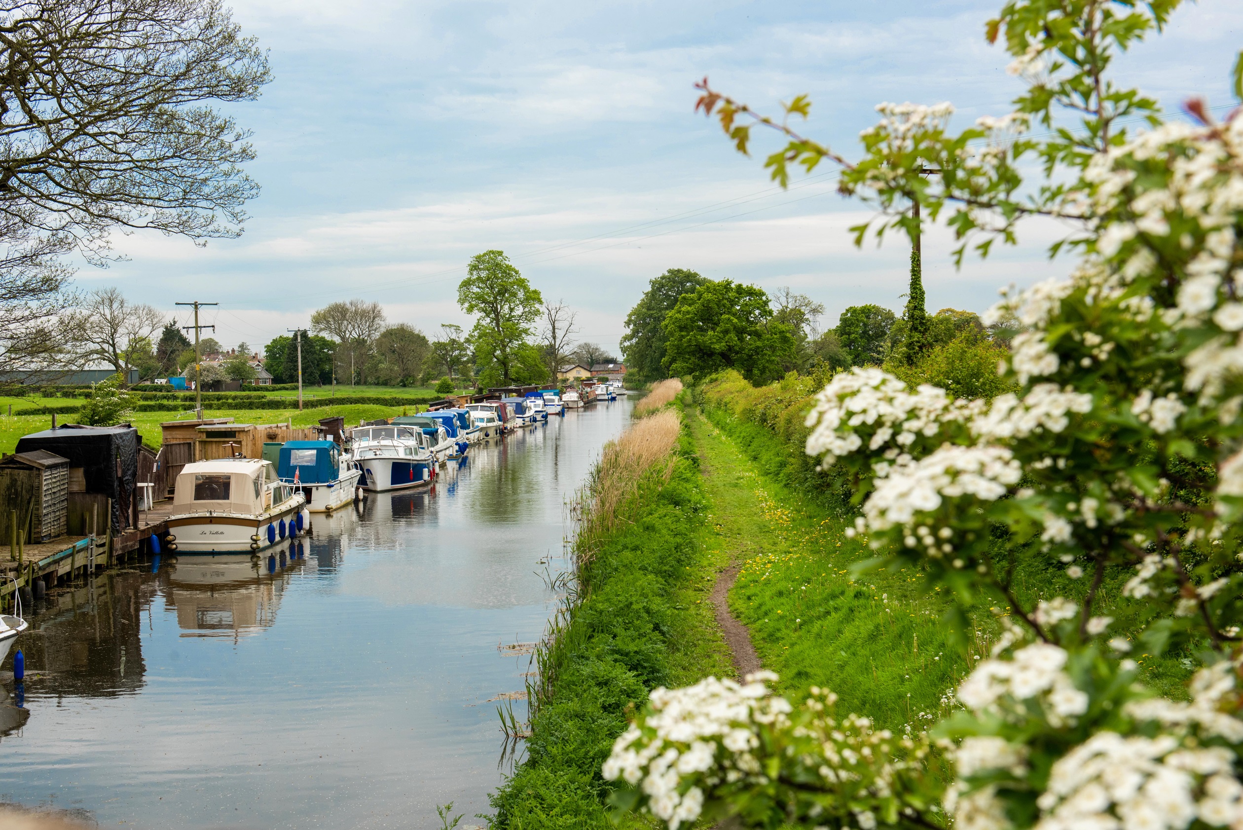 Whittingham Local Area