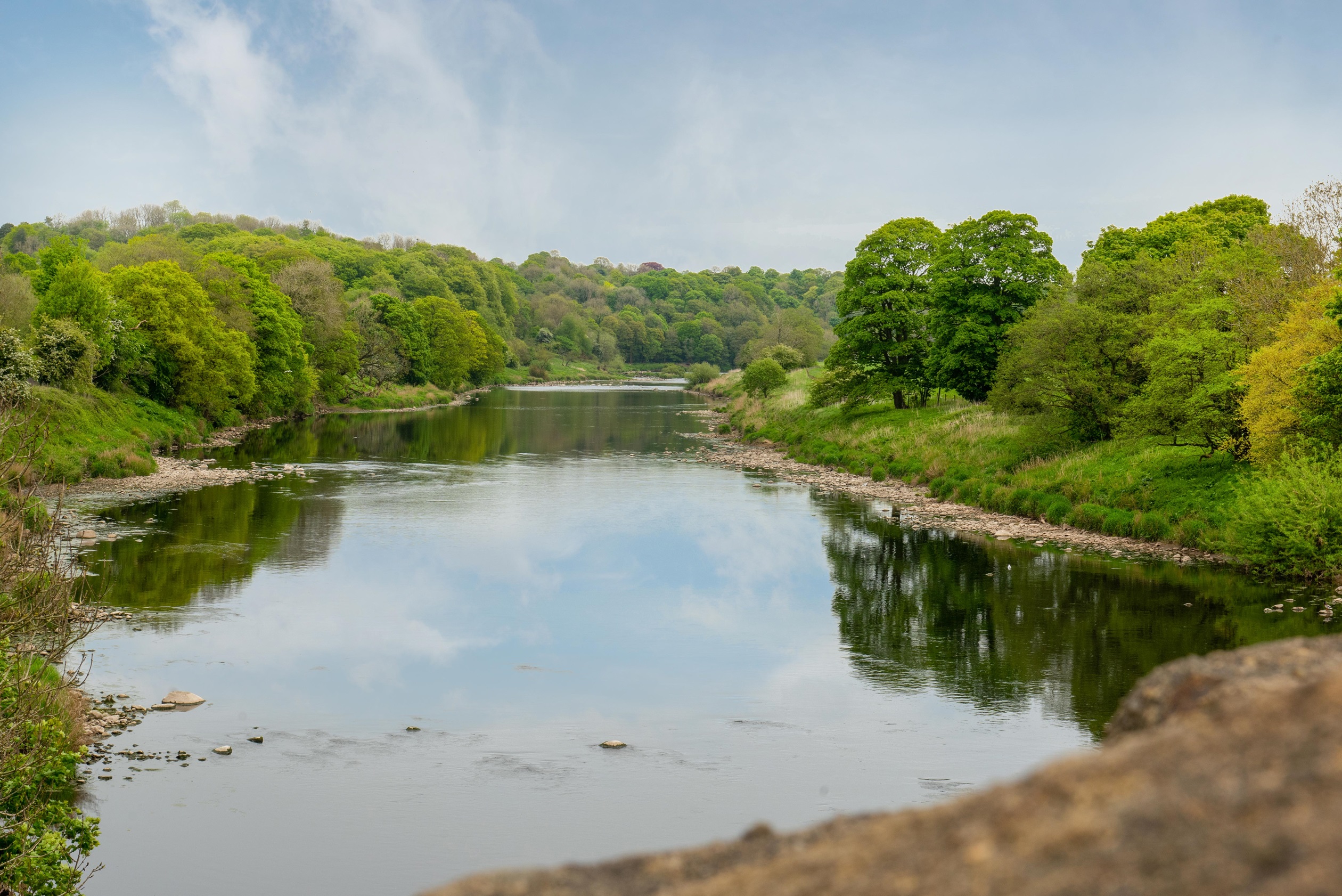 Whittingham Local Area