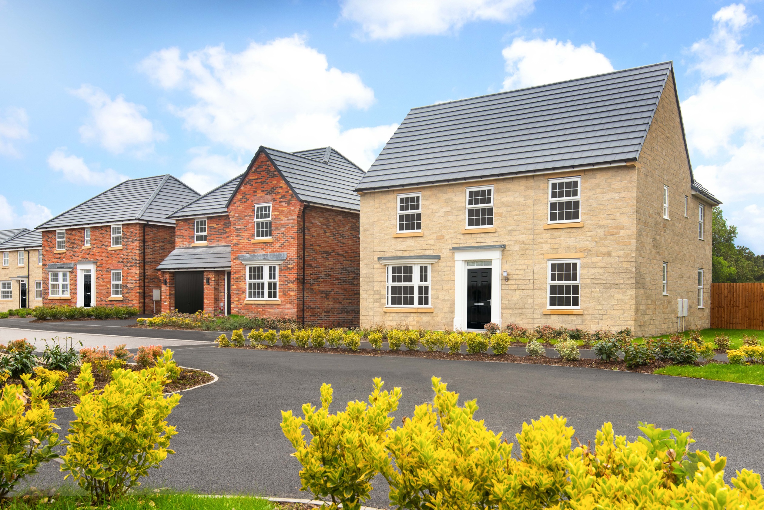 Inglewhite Meadow Street Scene
