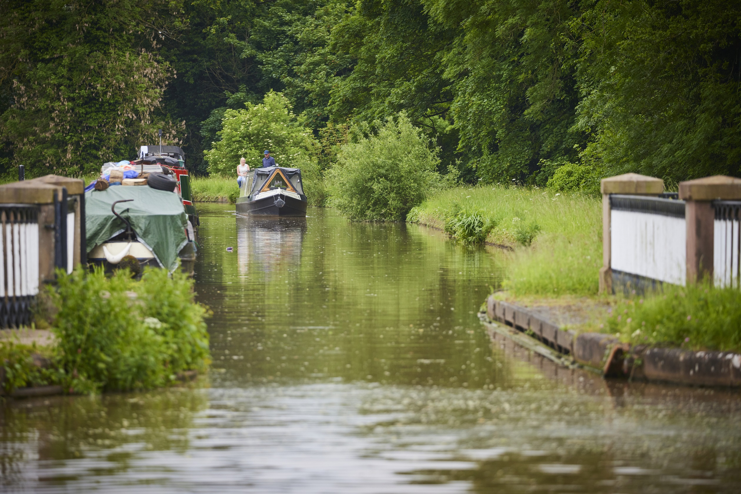 Kingsbourne Spring Local Area Imagery