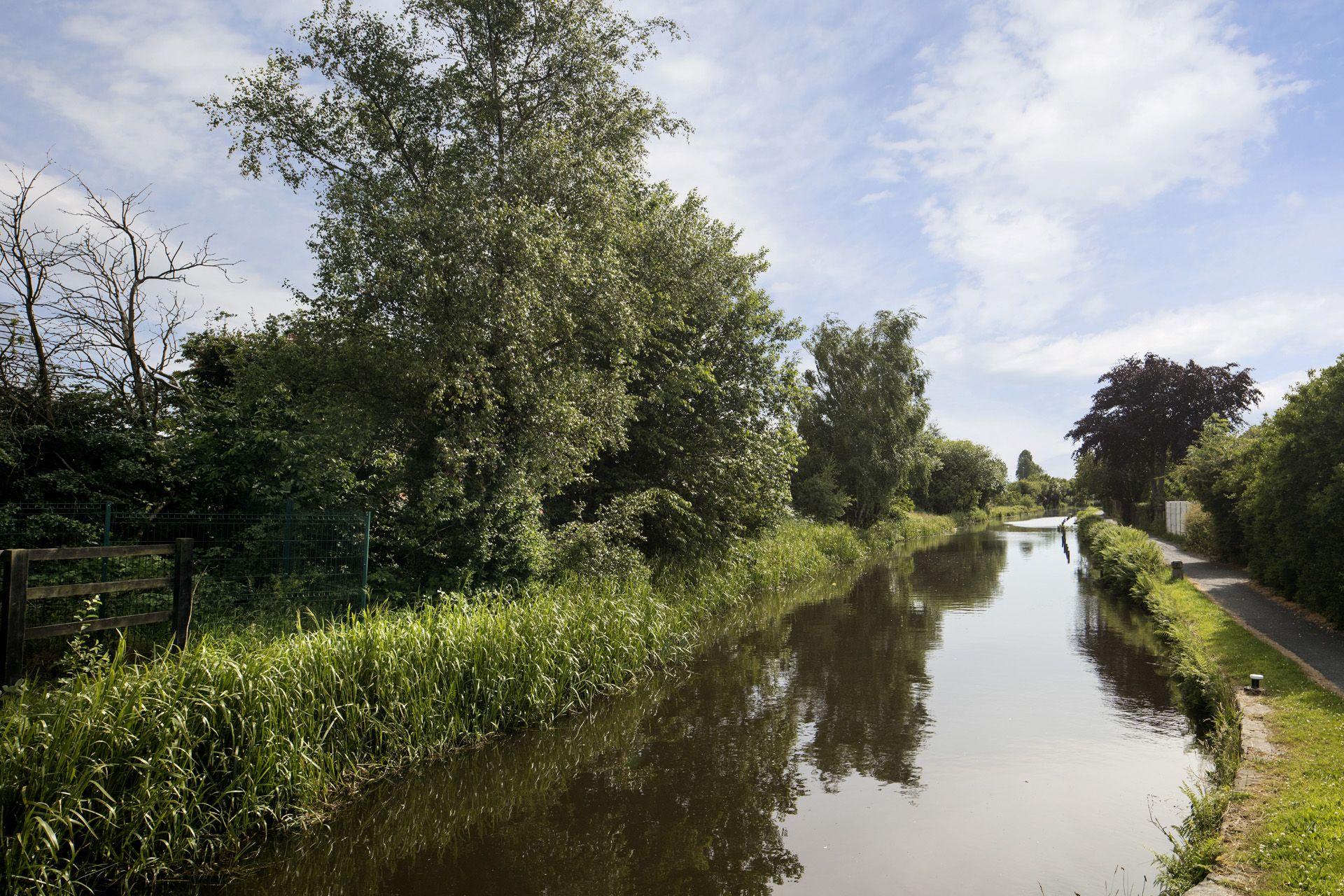 Kingsway Local Imagery