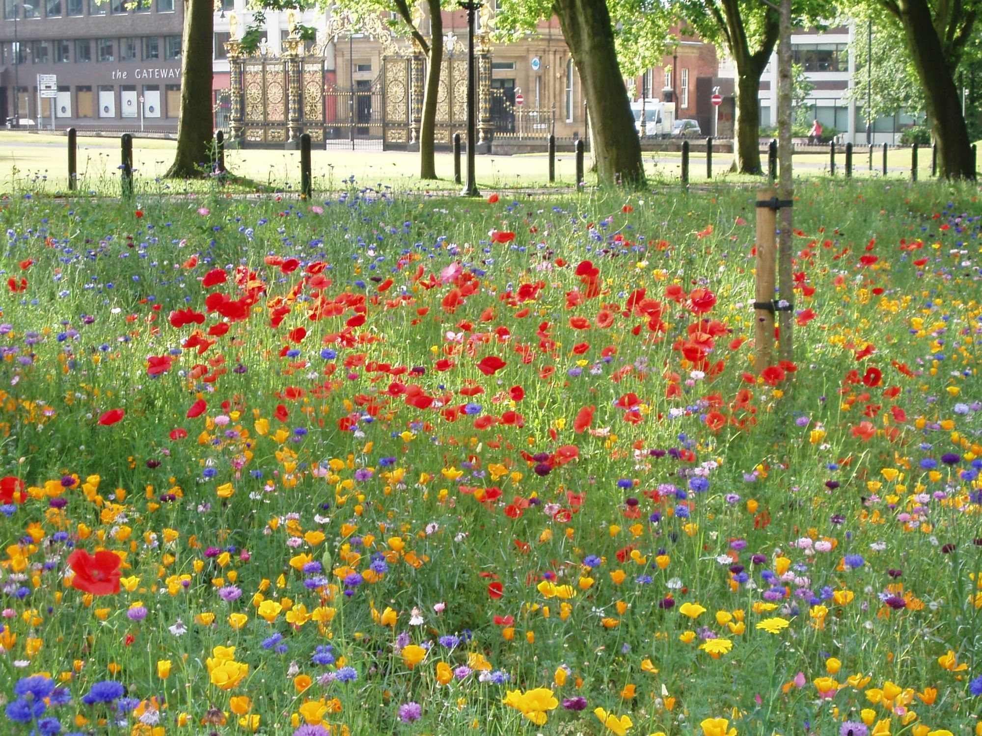 Warrington Local Imagery