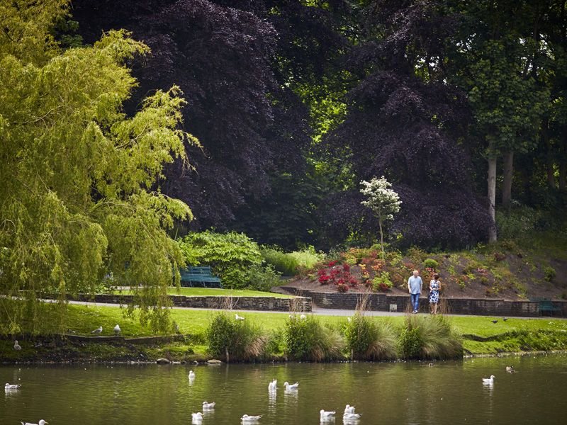 Pavilion Gardens New Homes in Southport David Wilson Homes