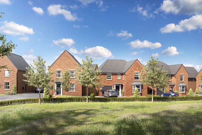 David Wilson Homes at Alderbrook Manor