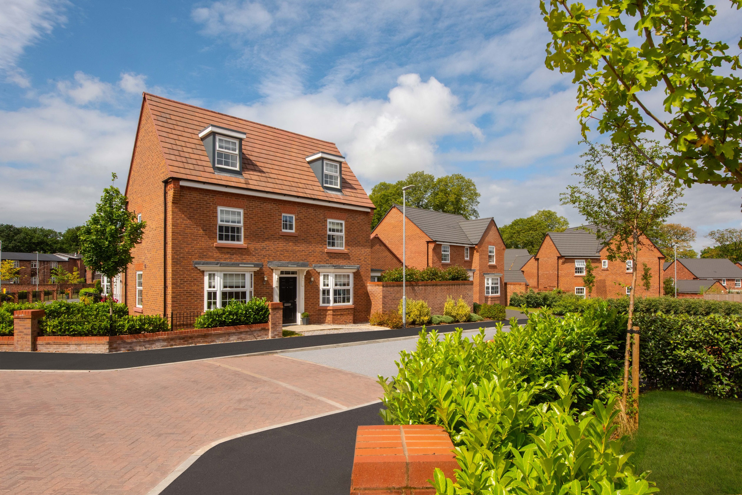 Street Scene view of Stanneylands Development
