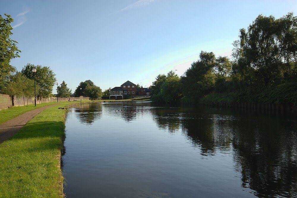 The Royals Local Imagery