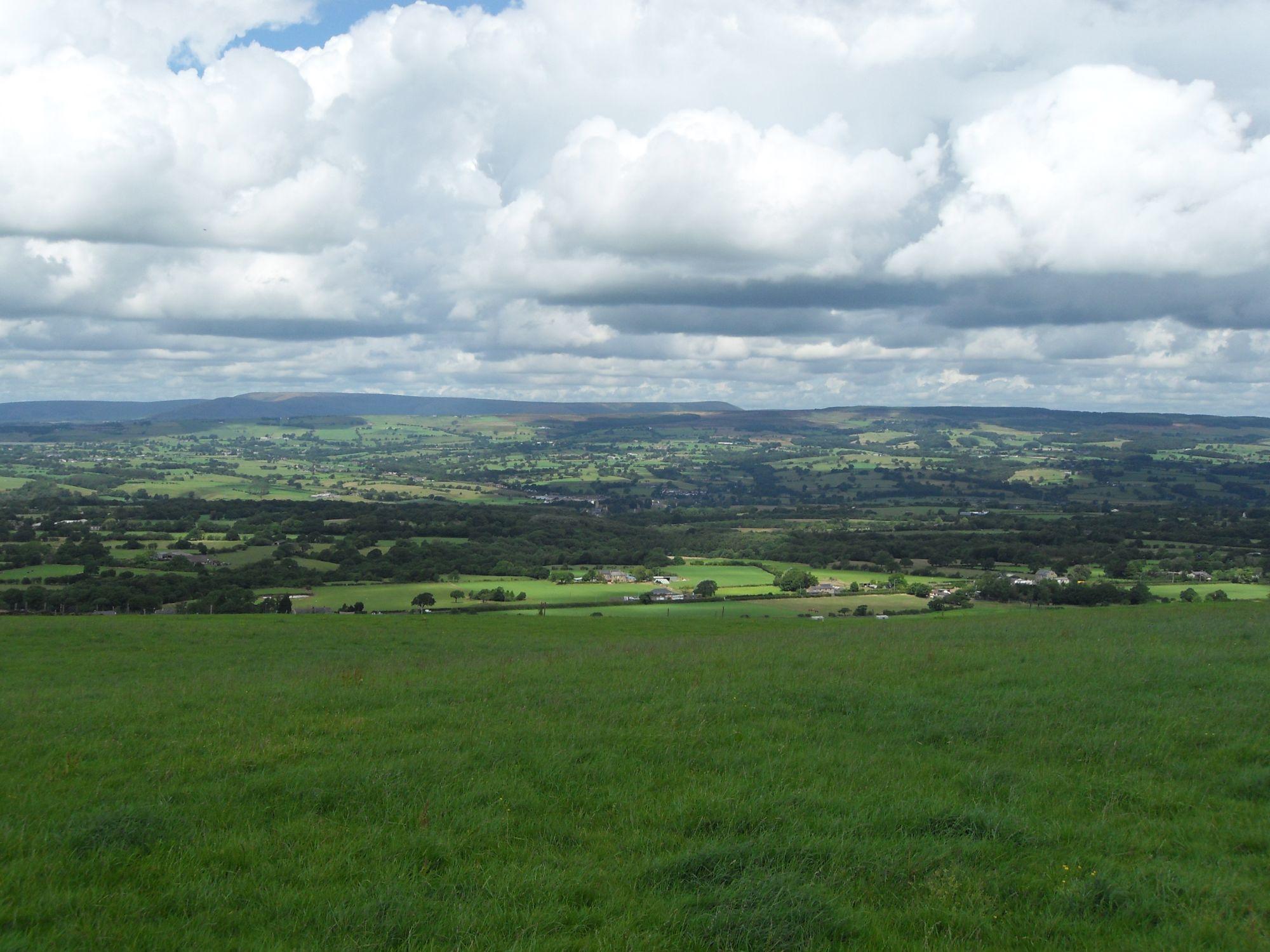 The Royals Local Imagery