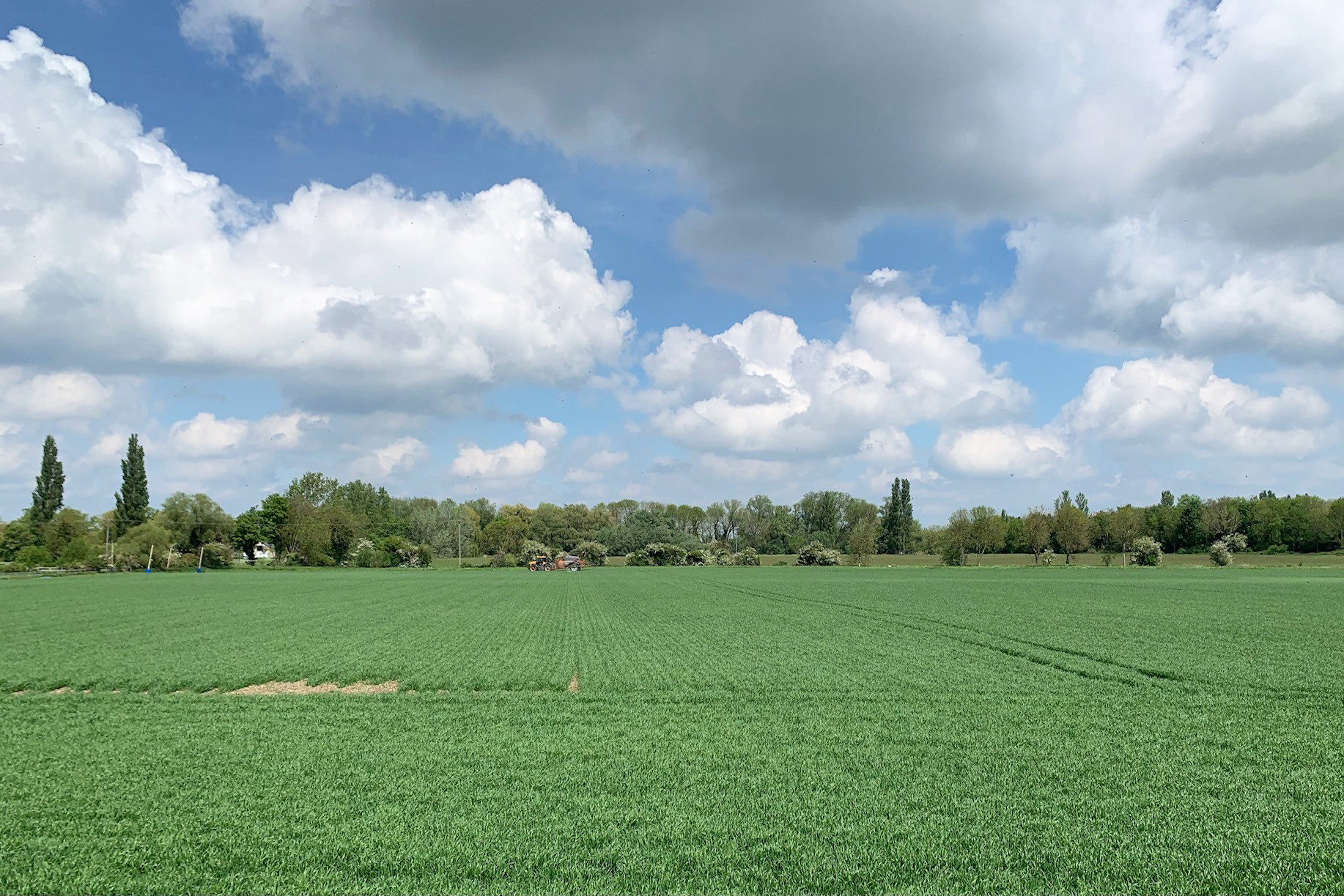 Stotfold Park New homes in Stotfold, Bedfordshire David Wilson Homes