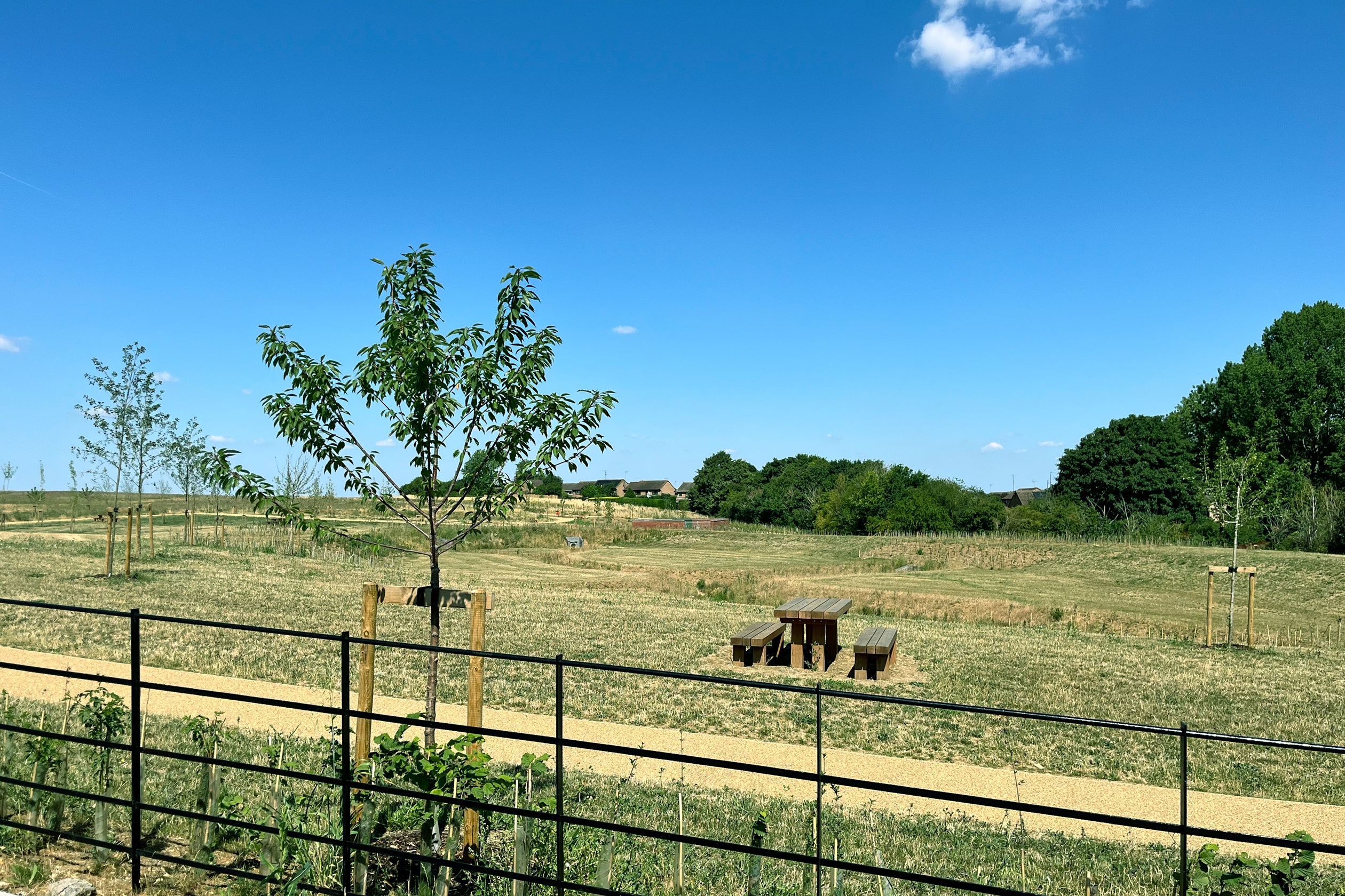 View from plot 10, 11