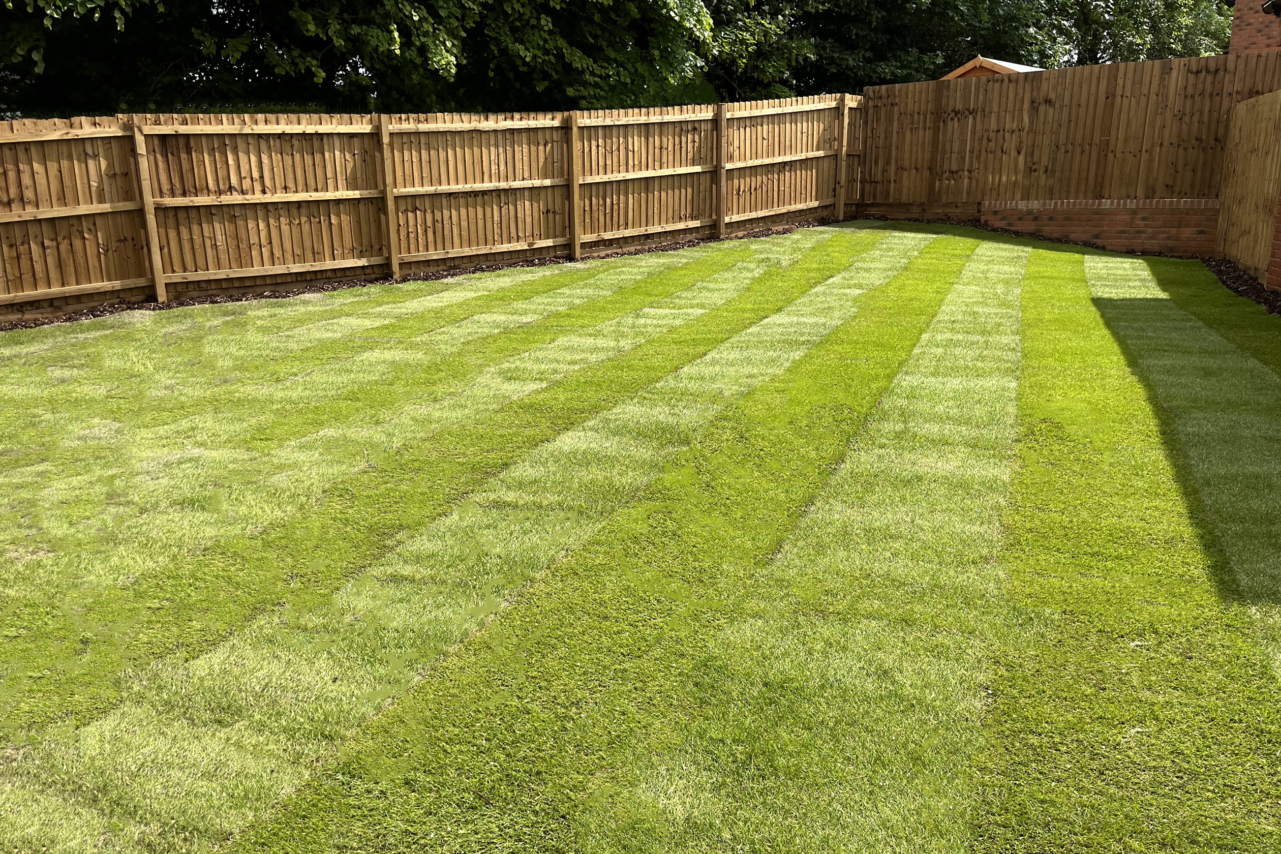 Wickets Plot 290 Garden