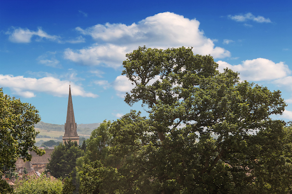 View of North Chippenham from home garden