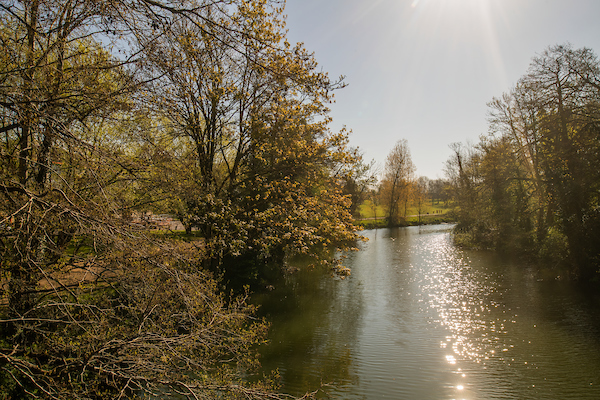 Woodlands in North Chippenham 