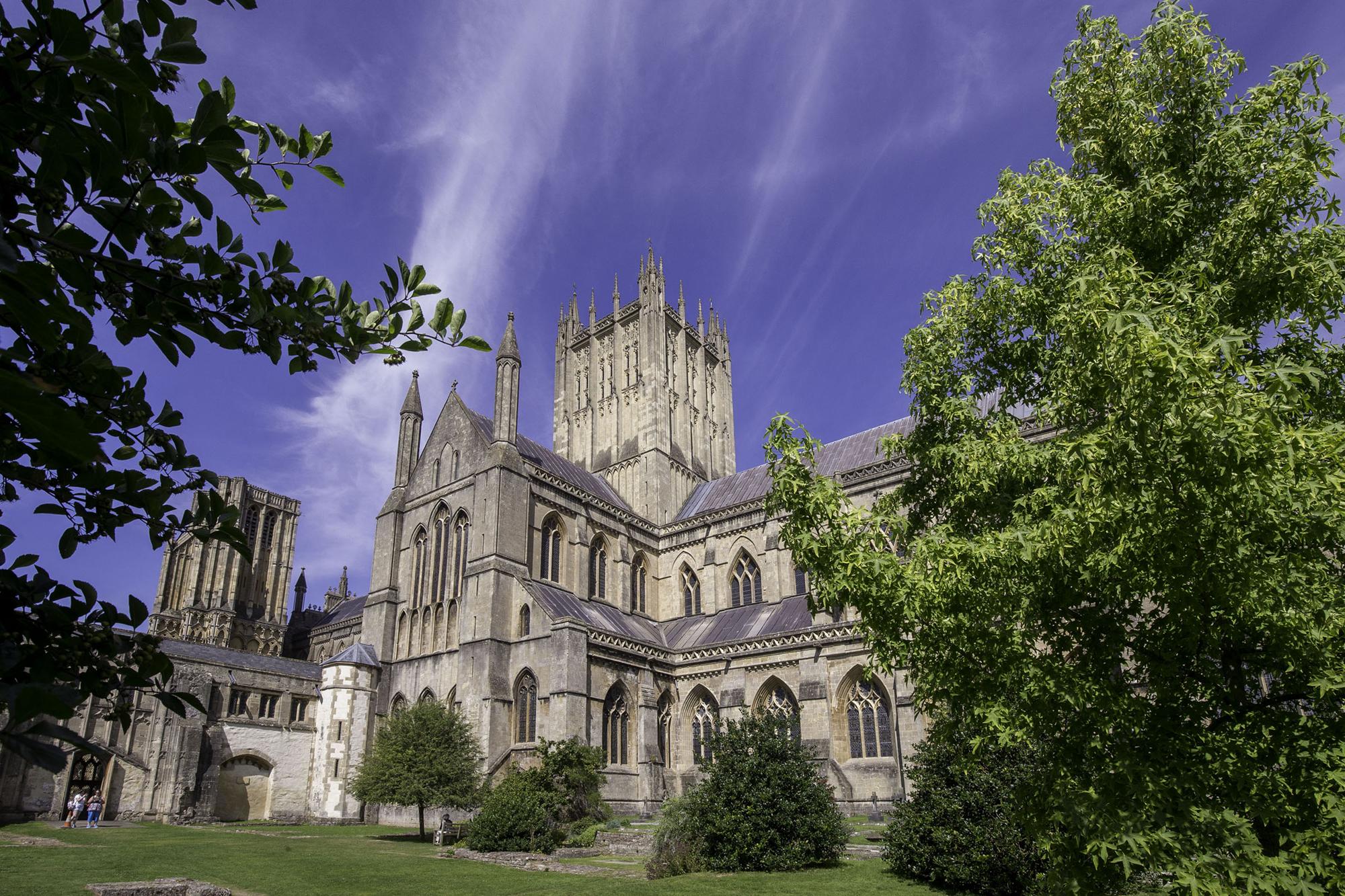 Wells local area image - Bishops Green