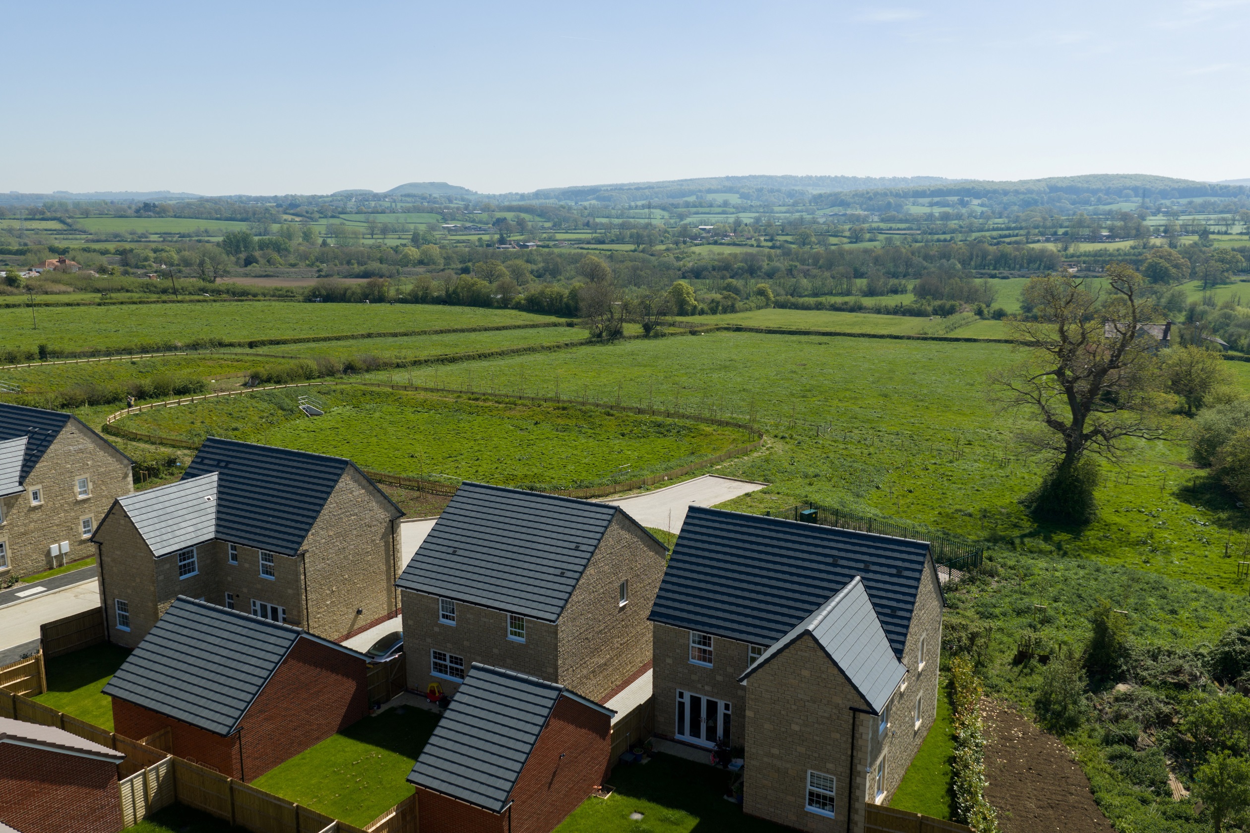 Homes at Francis Fields Frome David Wilson Homes