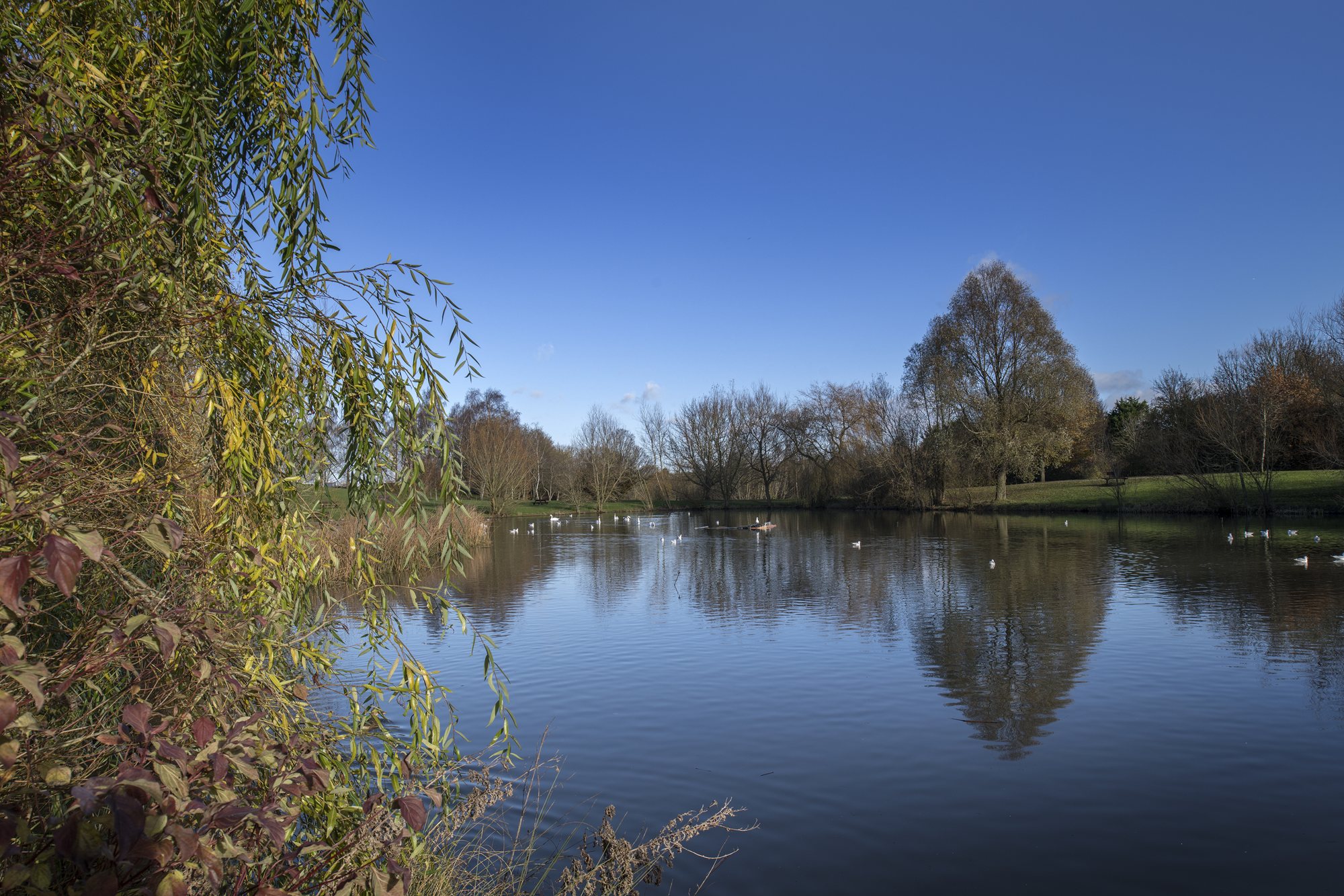 outside view of lake and open space at Ladden Garden Village Yate
