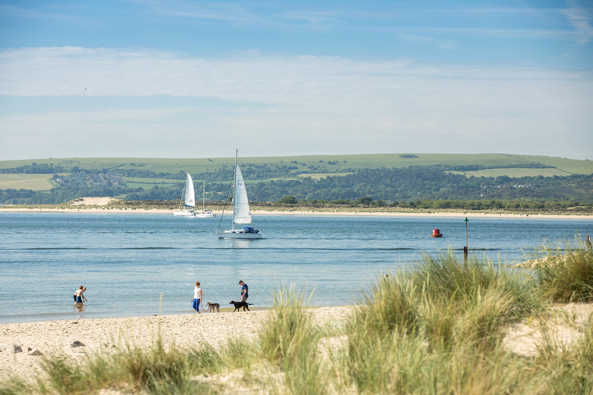 Canford Paddock New Homes in Canford Magna David Wilson Homes