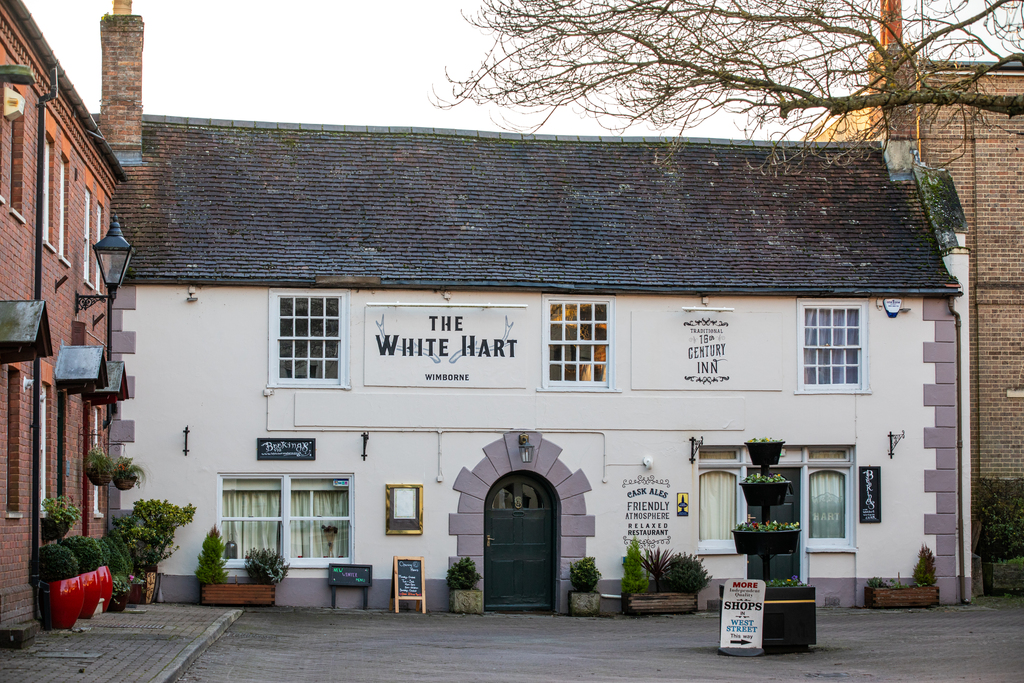 Canford Paddock New Homes in Canford Magna David Wilson Homes