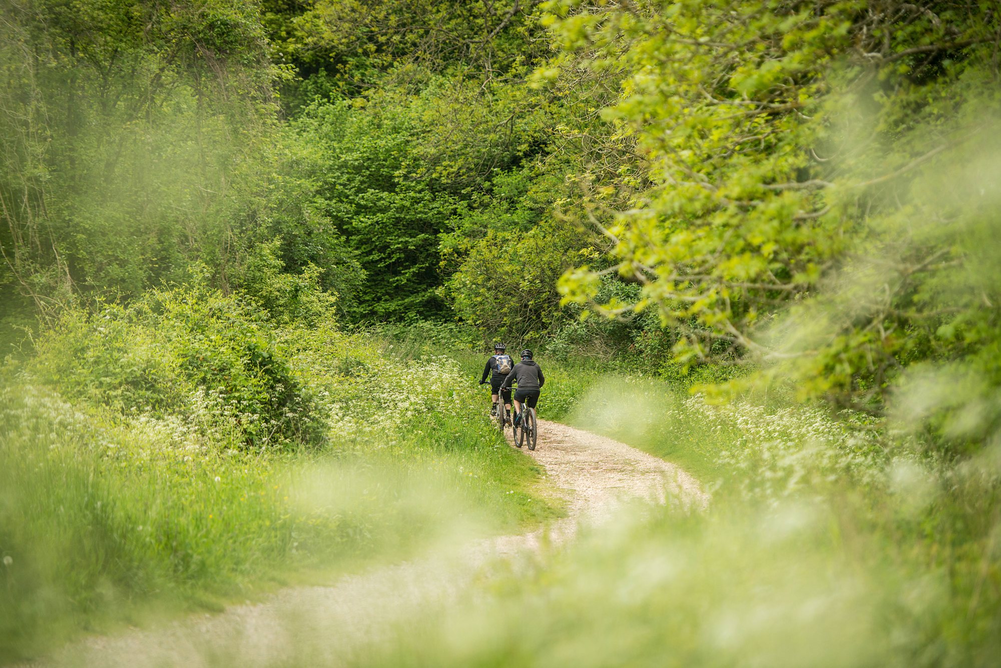 Petersfield South Downs National Park walk and cycle trail