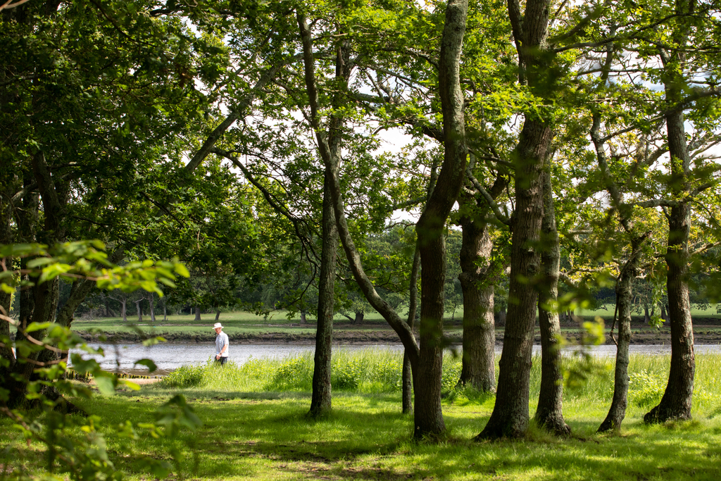 river hamble near forest walk in whiteley