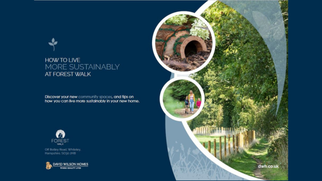 Forest walk sustainability brochure front cover