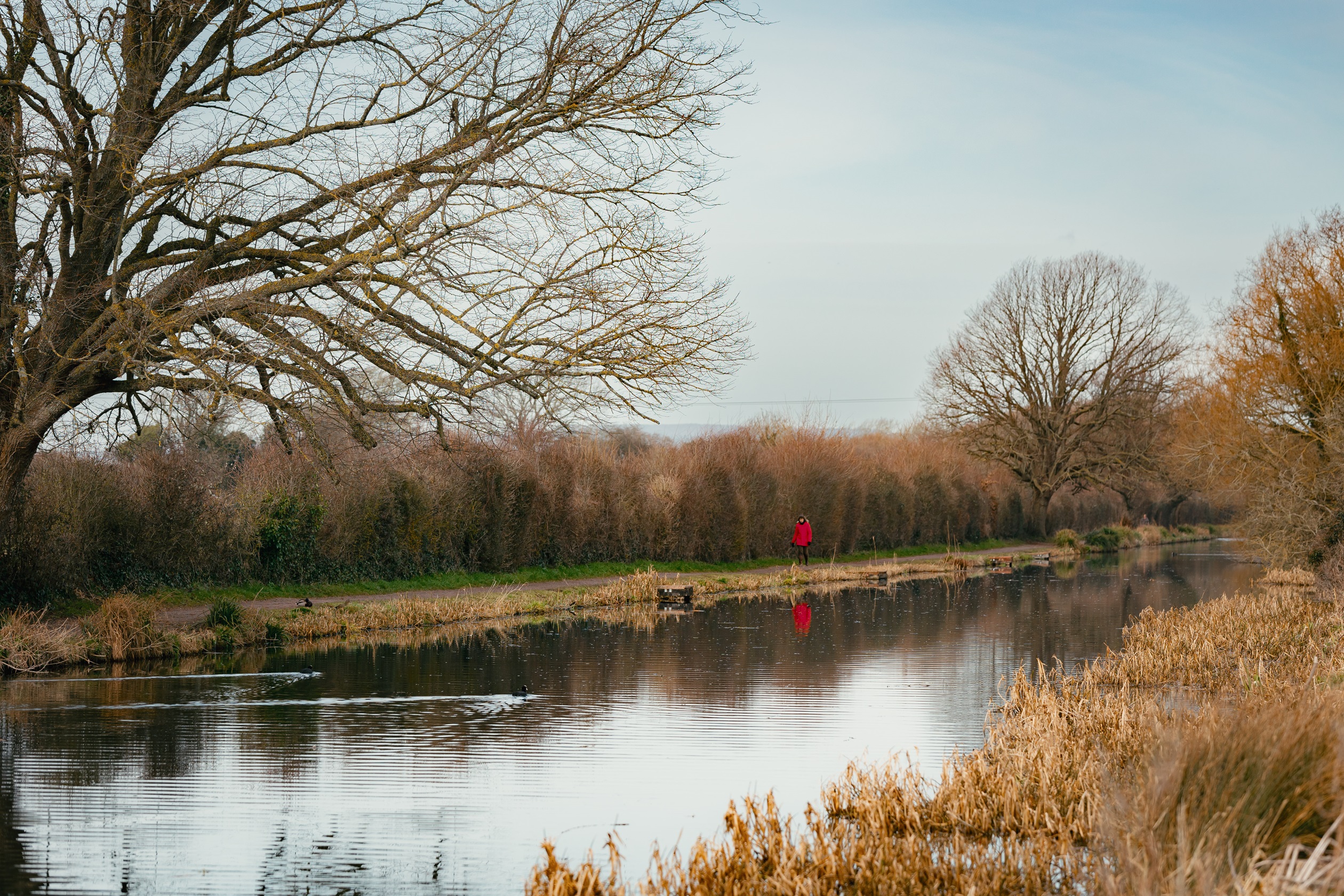 Local area shot of the chichester canal and walking path next to it