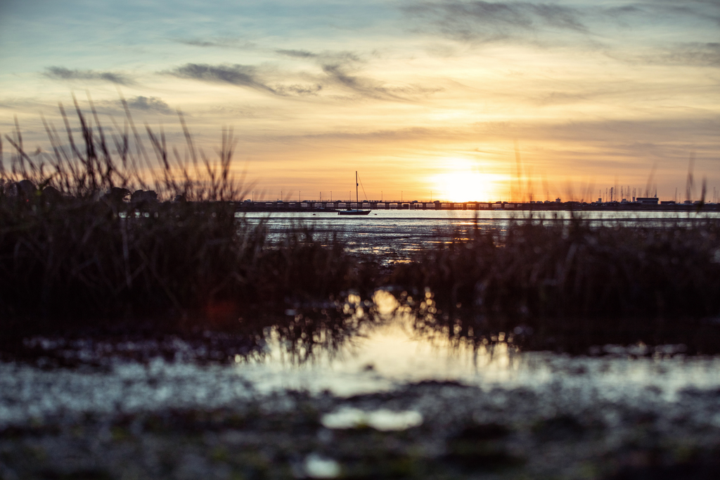 Local area image of the coastline in bedhampton in autumn