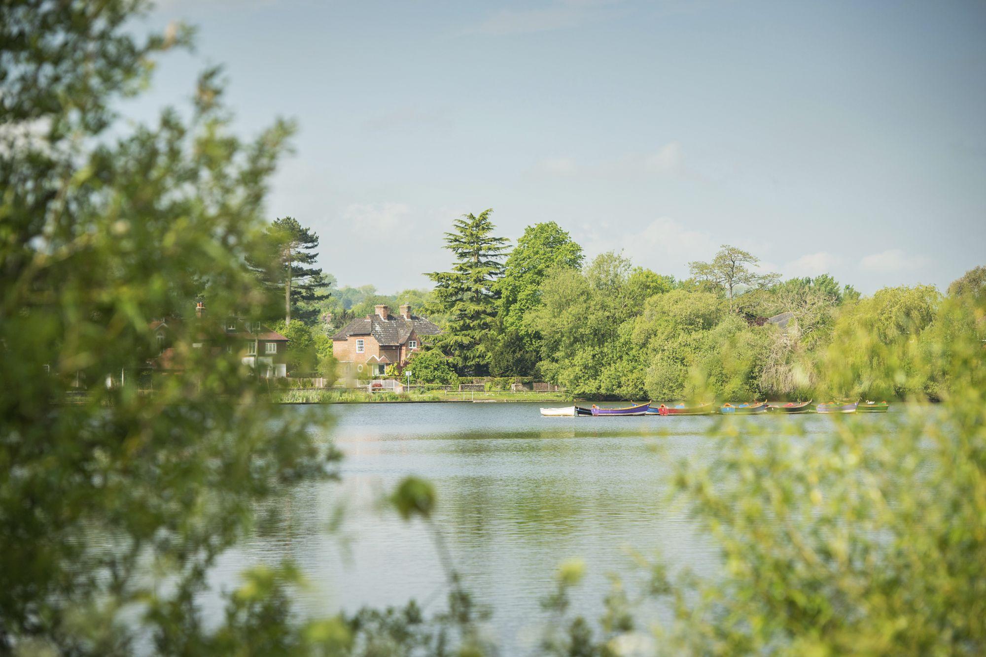 View through the trees overlooking Petersfield Pond area