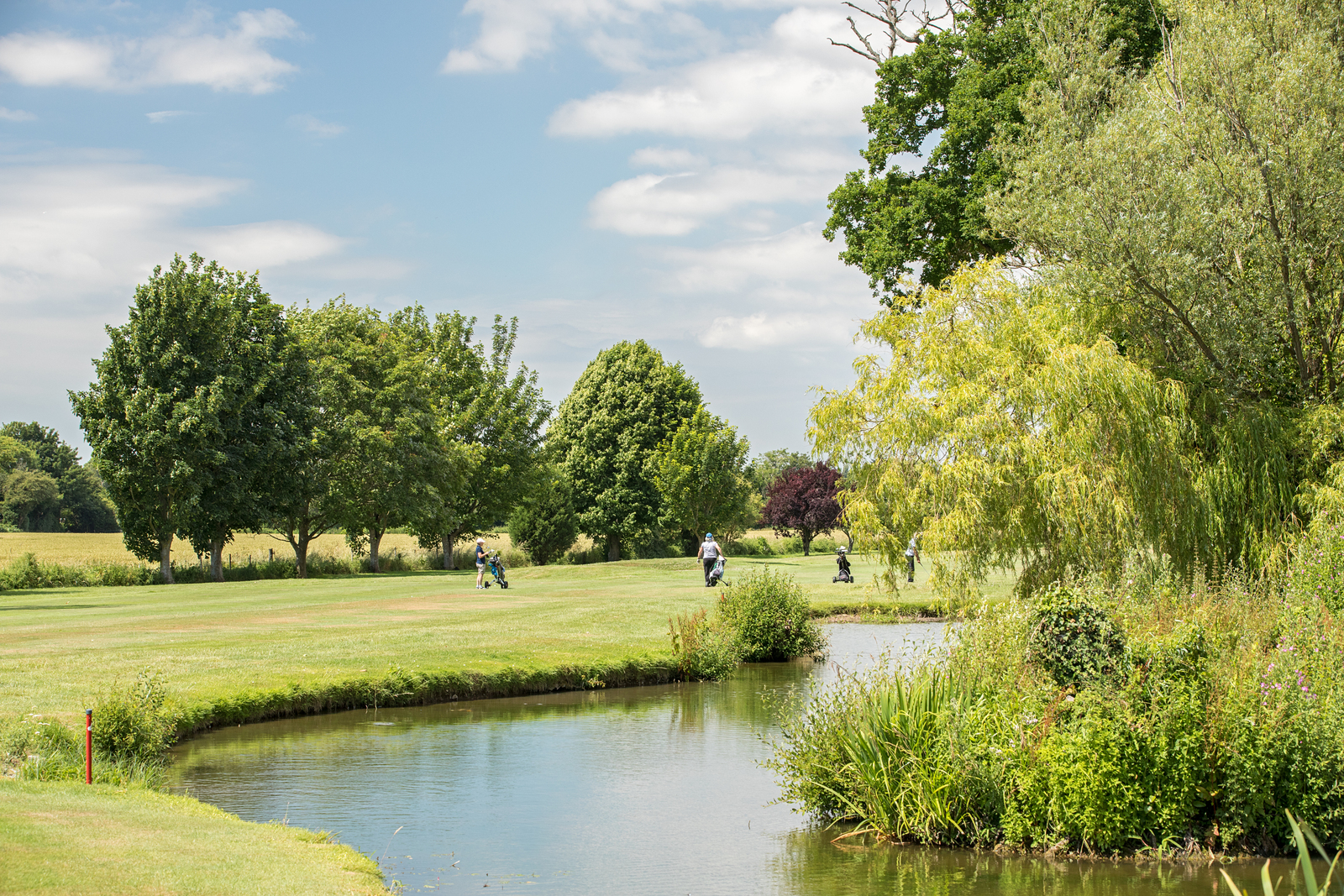 Local area shot of the avisford golf course
