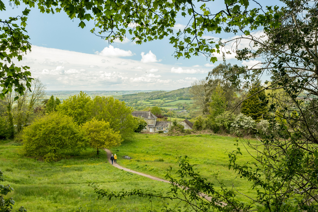 castle hill located in shafestbury 