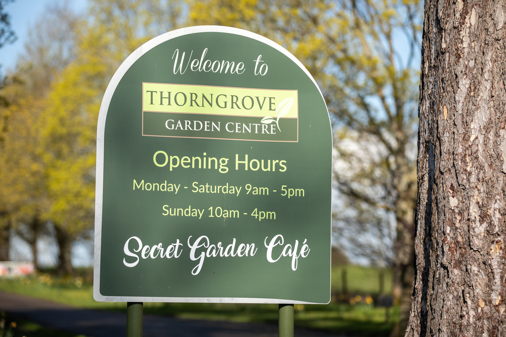 Romans Quarter New homes in Gillingham, Dorset David Wilson Homes