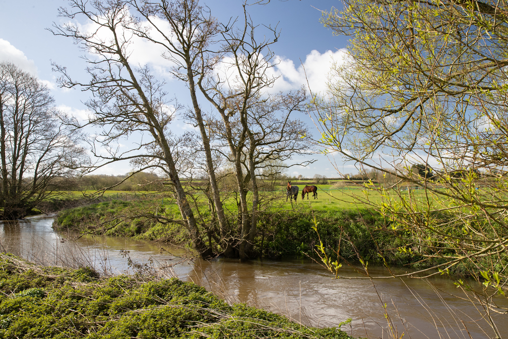 Local area image of the River stour in gillingham dorset