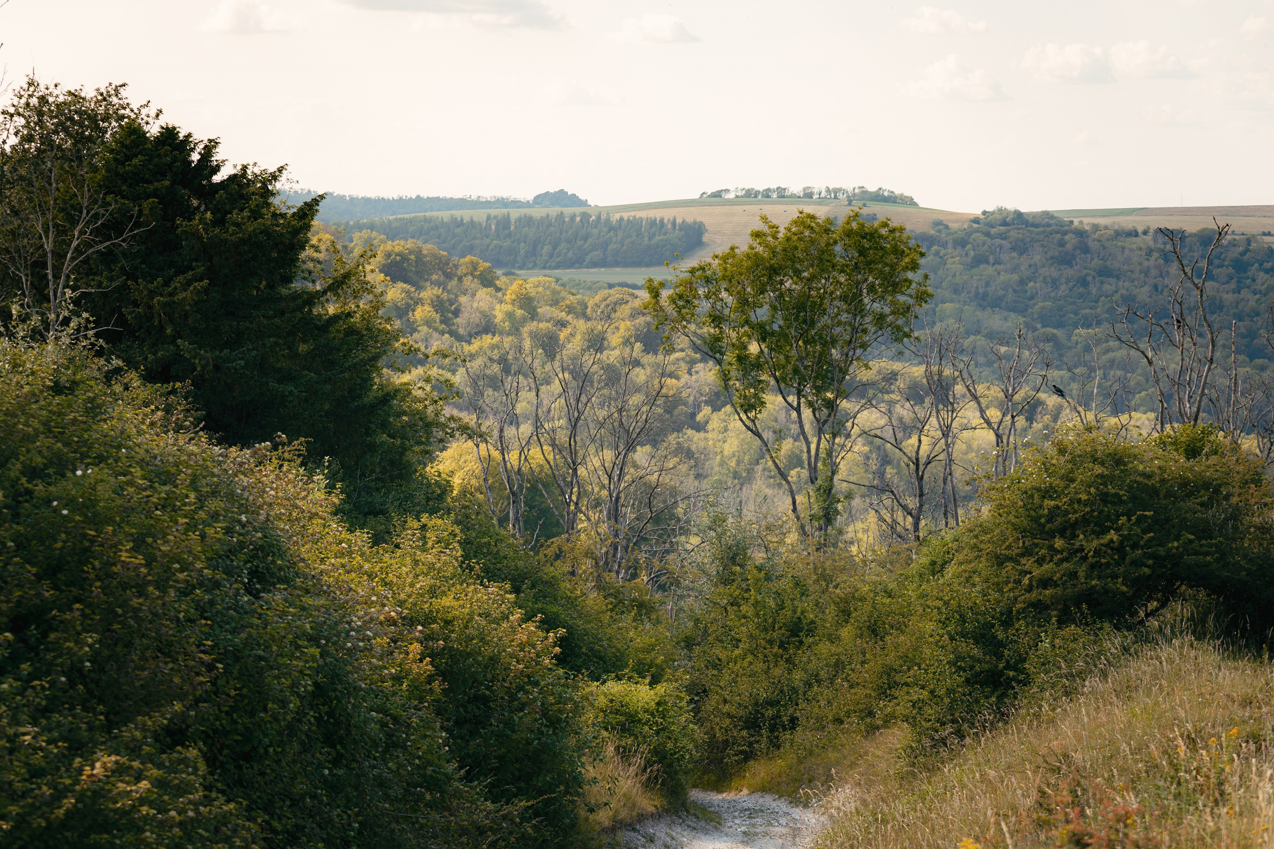 External shot of south downs national park