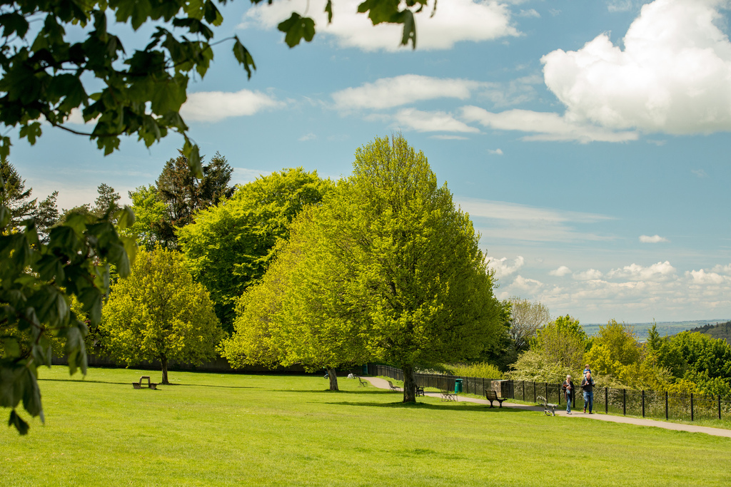 Local area image of green open space by niveus walk