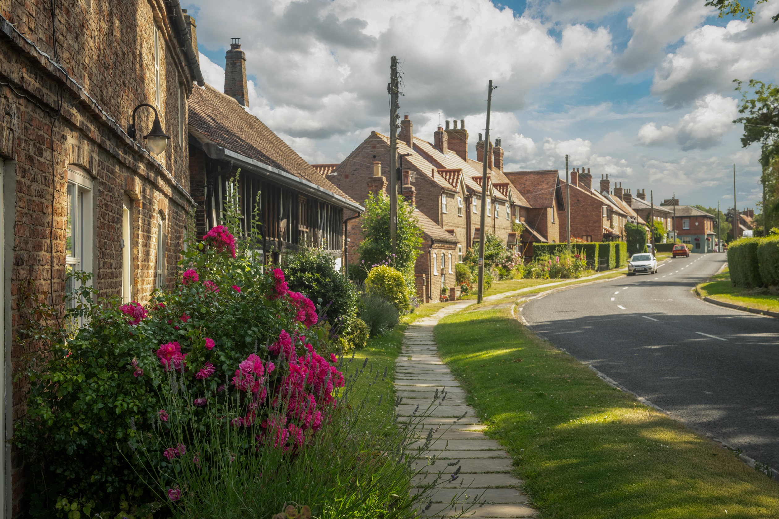 Wheldrake village, Bramble Wood