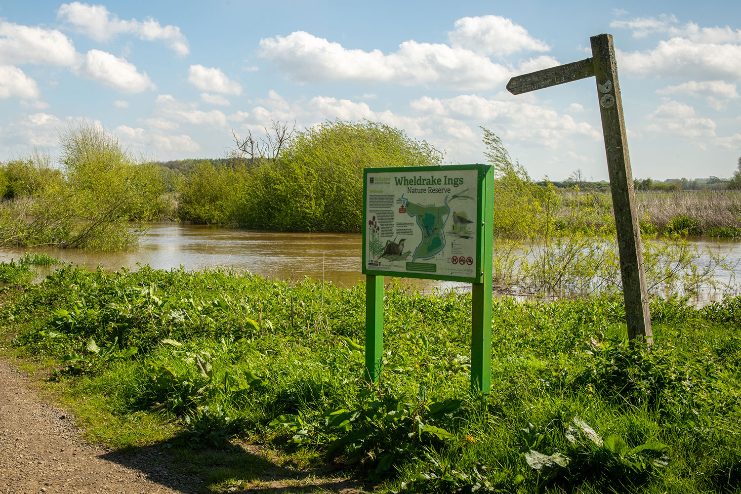 The area local to Bramble Wood, Wheldrake