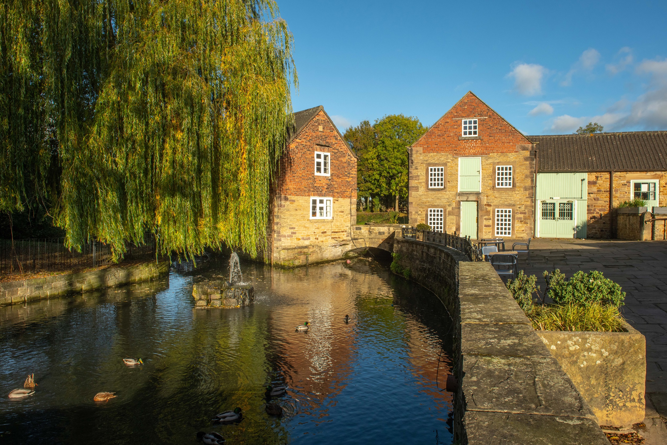 POPPY FIELDS LOCAL AREA 2